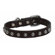 Hip Doggie Silver Stud Dog Leash in Brown