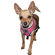 Hip Doggie Skull Mesh Dog Harness Vest in Pink