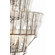 ARTERIORS Home Canton 9 Light Chandelier