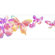 4 Walls Fluttering Butterfly Border