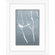 Pro Tour Memorabilia Walt Disney Signature Giclee VII Framed Print #318a Inspired by Sleeping Beauty &ndash; 18" x 14"