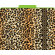 Barker Creek & Lasting Lessons Functional File Folders Leopard