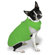 Scooter's Friends Inc Spring Slicker Dog Coat in Lime Sherbet