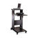 Tiffany Office Furniture Presentation Stand,Adjustable,18-1/2"x32-1/4"x39-1/4",Black