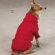 Casual Canine Basic Hoodie Dog Apparel ZA6015