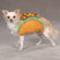 Casual Canine Taco Dog Costume
