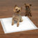 Master Equipment Maximum Puppy Absorbency Pad