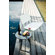 Loll Designs Loll Lago Lounge Chair