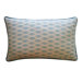 Arrow Cotton Pillow