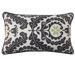 Shine Rectangle Pillow