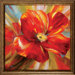 Island Blossom I / II Framed Art (Set of 2)