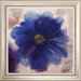 Indigo Dreams I / II Wall Art (Set of 2)
