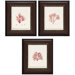 Nature II/III/IV Wall Art (Set of 3)