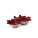 Wintrberry Cardinal Serve Bowl