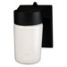 One Light Outdoor Wall Lantern in Black