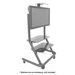 Video Conferencing Plasma Cart (42" - 61")