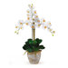 Triple Phalaenopsis Silk Orchid Arrangement in Cream