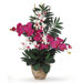 Double Phalaenopsis and Dendrobium Silk Orchid Arrangement in Beauty Pink and White