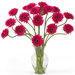 Liquid Illusion Silk Gerber Daisy Arrangement in Beauty Pink