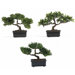 12" Silk Bonsai Plant in Green (Set of 3)