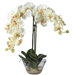 Phalaenopsis Silk Orchid Arrangement in White with Glass Vase