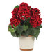 Silk Geranium Plant in Red