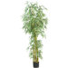 84" Curved Slim Silk Bamboo Tree in Green