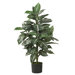 36" Silk Zebra Plant