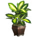Silk Golden Dieffenbachia Plant with Wood Vase in Green