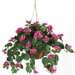 Silk Bougainvillea Plant with Hanging Basket in Beauty Pink