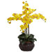 Phalaenopsis with Decorative Vase Silk Flower Arrangement in Yellow