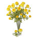 23" Ranunculus Stem in Yellow (Set of 12)