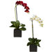 Phaleanopsis Orchid with Black Vase Silk Arrangement (Set of 2)