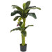 5' 3' Banana Silk Tree with Bananas