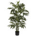 3' Bamboo Palm Silk Tree