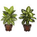 Dieffenbachia in Assorted with Wood Vase Silk Plant (Set of 2)
