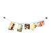 Photoline Wall Mounted Photo Holder
