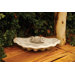 Shell Birdbath