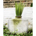 Perfume Rectangular Vase Planter