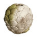 Clam Shell Round Vase Planter
