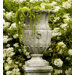 Apian Vessel Planter