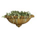 Bacara Wall Sconce Wall Decor