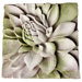 Dahlia Plaque Wall Decor