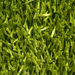Sara Lime Green Rug