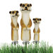 The Meerkat Garden Stake Statue