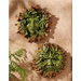 The Somerset 2-Piece Greenwoman and Greenman Sculpture Set in Faux Verdigris and Bronze