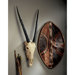 Gemsbok African Wall Trophy