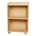 Aeri Wood Cart with Three Shelves and Casters