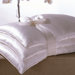 Basics Double Silk-Filled Pillow in White