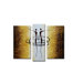 Radiance Seneca Canvas Art (Set of 3)